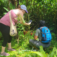 Quantum Leap Women's Experience 2023 Costa Rica