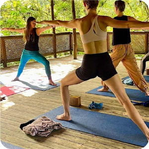 jungle-yoga
