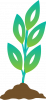 plant-growth-graphic